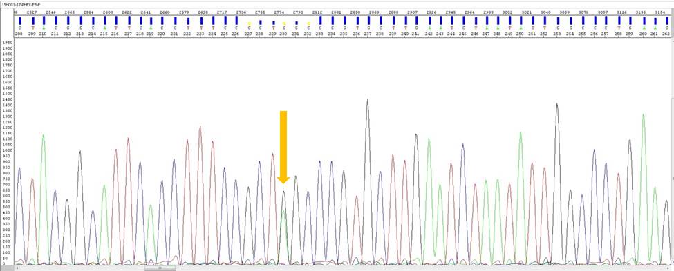 PGD-2